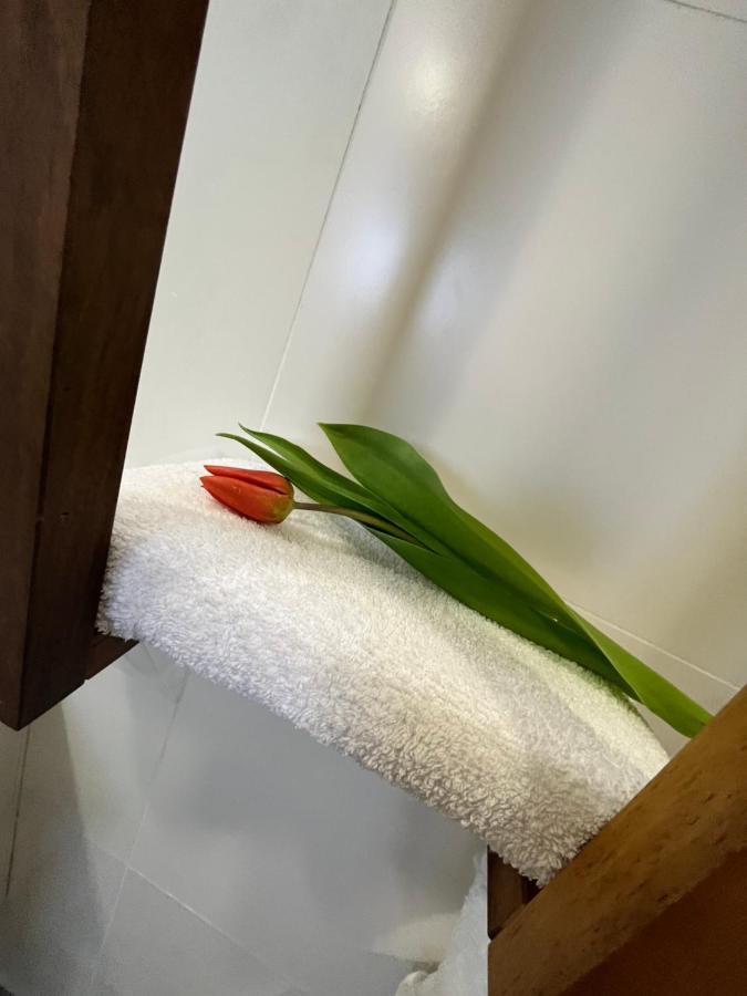 Apartma Ksela Mala Nedelja Экстерьер фото