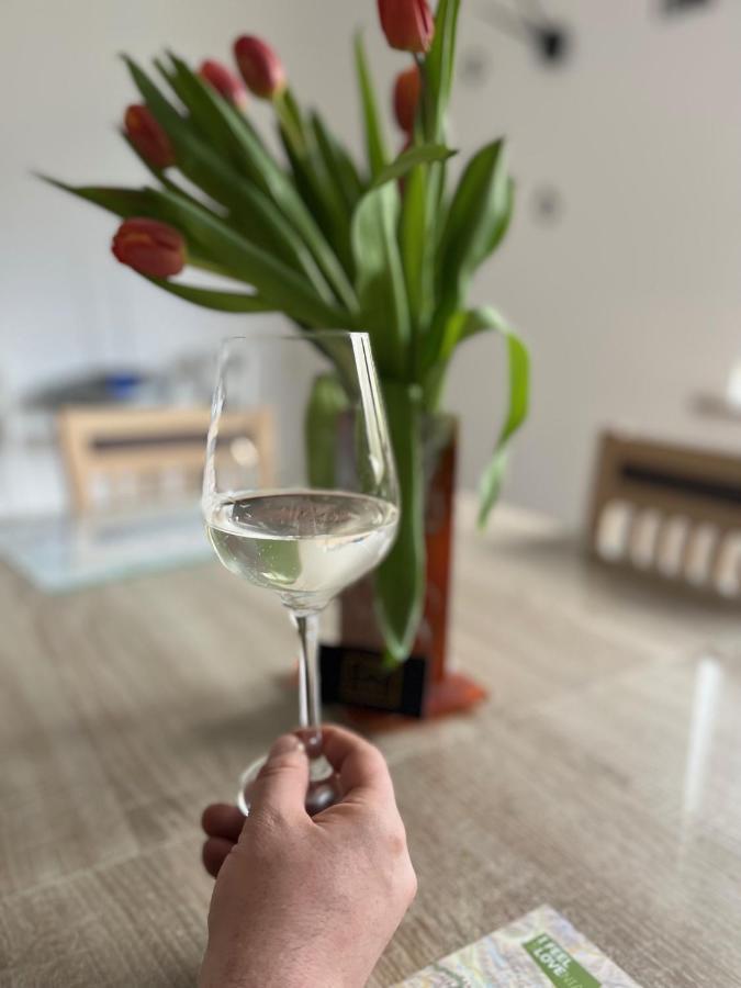 Apartma Ksela Mala Nedelja Экстерьер фото